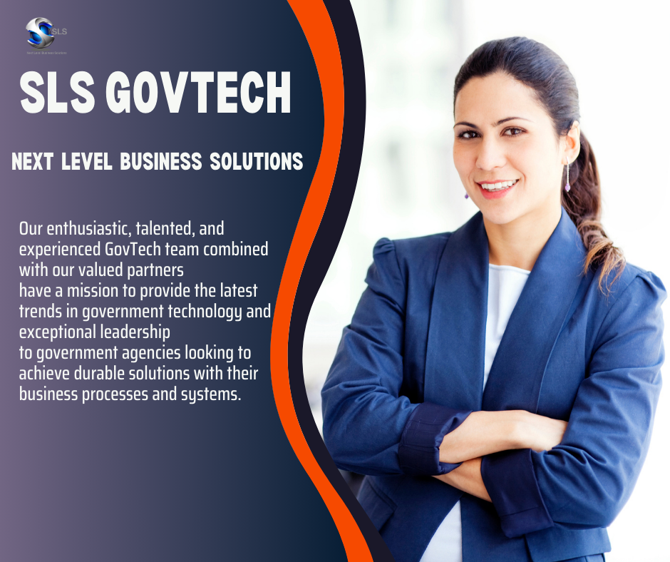 Government technology consultant and Smart City consulting 