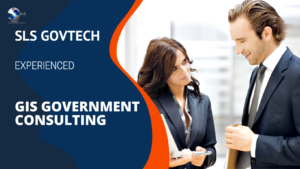 Government technology consultants 