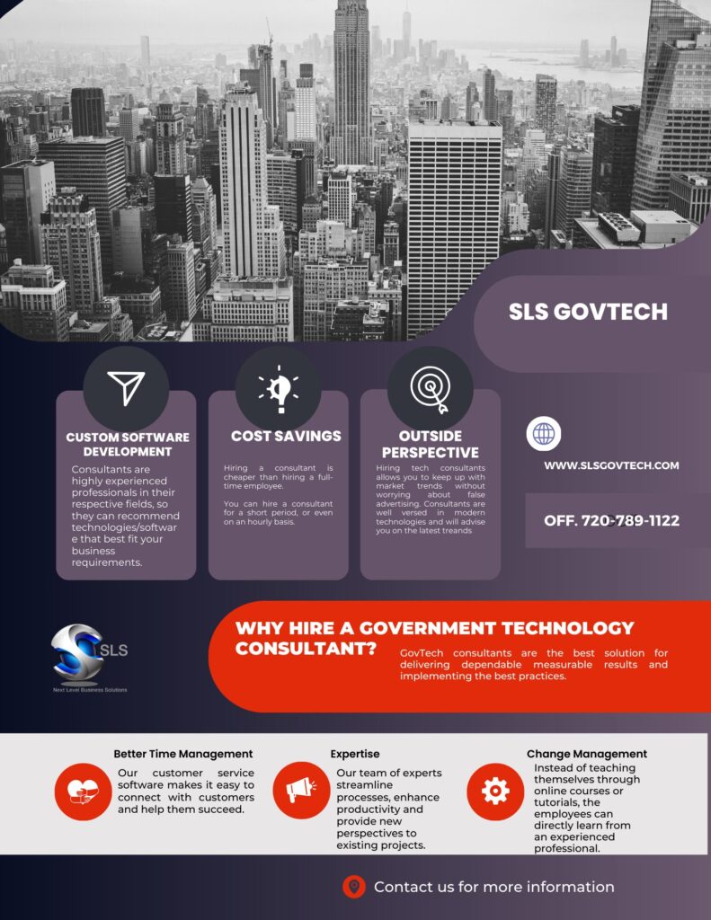 Why hire a government technology consultant?  